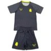 Everton Niños Conjunto 2024 2025 Segunda Gris - Tuta Everton Niños | escamisetasfutbol