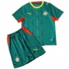 Senegal Niños Conjunto 2026 Segunda Verde - Senegal Niños Barata | escamisetasfutbol