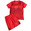 Turquía Niños Conjunto 2026 Segunda Rojo - Turquía Niños Barata | escamisetasfutbol