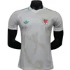 Gales Camiseta Edición Jugadores 2026 Segunda Blanca - Camiseta Gales Rugby | escamisetasfutbol