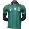 Sudafrica Camiseta Edición Jugadores 2026 Segunda Verde - Camiseta Sudafrica 2026 | escamisetasfutbol