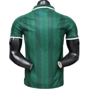 Sudafrica Camiseta Edición Jugadores 2026 Segunda Verde - Camiseta Sudafrica 2026 | escamisetasfutbol