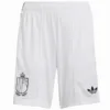 Bélgica Pantalones 2026 Segunda Blanco - Pantalón Bélgica | escamisetasfutbol