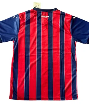 EC Bahia Camiseta 2025 2026 Casa Azul - Camiseta Ec Bahia | escamisetasfutbol