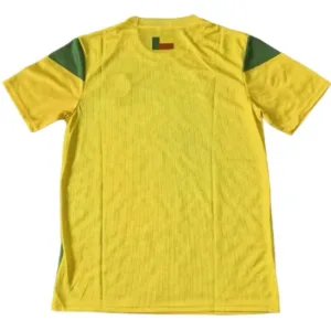 Benin Camiseta 2023 Casa Amarilla - Camiseta Benin | escamisetasfutbol