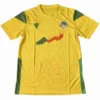 Benin Camiseta 2023 Casa Amarilla - Camiseta Benin | escamisetasfutbol