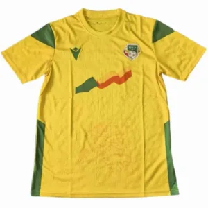 Benin Camiseta 2023 Casa Amarilla - Camiseta Benin | escamisetasfutbol