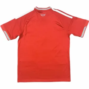 Gales Camiseta 2026 Casa Roja - Camiseta Gales Rugby | escamisetasfutbol