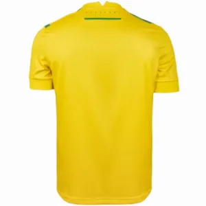 FC Nantes Camiseta 2024 2025 Casa Amarilla - Camiseta Fc Nantes | escamisetasfutbol
