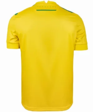 FC Nantes Camiseta 2024 2025 Casa Amarilla - Camiseta Fc Nantes | escamisetasfutbol