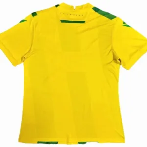 FC Nantes Camiseta 2024 2025 Casa Amarilla - Camiseta Fc Nantes | escamisetasfutbol