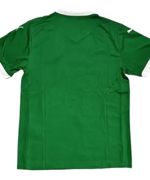 SE Palmeiras Camiseta 2025 2026 Casa Verde - Camiseta Kidsuper X Se Palmeiras Graphic Masculina | escamisetasfutbol