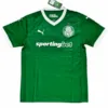 SE Palmeiras Camiseta 2025 2026 Casa Verde - Camiseta Kidsuper X Se Palmeiras Graphic Masculina | escamisetasfutbol