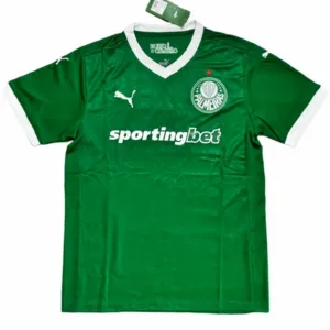 SE Palmeiras Camiseta 2025 2026 Casa Verde - Camiseta Kidsuper X Se Palmeiras Graphic Masculina | escamisetasfutbol