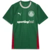 SE Palmeiras Camiseta 2026 2027 Casa Verde - Camiseta Kidsuper X Se Palmeiras Graphic Masculina | escamisetasfutbol