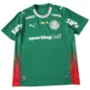 SE Palmeiras Camiseta 2026 2027 Casa Verde - Camiseta Kidsuper X Se Palmeiras Graphic Masculina | escamisetasfutbol