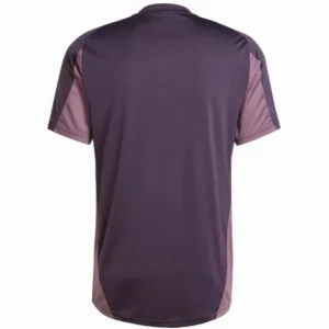 Arsenal Camiseta 2025 2026 Especial Púrpura - Camiseta Arsenal | escamisetasfutbol