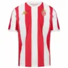 AS Monaco Camiseta 2024 2025 Especial Roja - Camiseta As Monaco | escamisetasfutbol