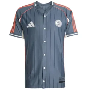 Bayern Múnich Camiseta 2025 2026 Especial Gris - Camiseta Bayern Múnich 2026 | escamisetas-futbol.com