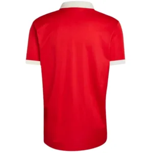 Gales Camiseta 2026 Especial Roja - Camiseta Gales Rugby | escamisetasfutbol