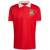 Gales Camiseta 2026 Especial Roja - Camiseta Gales Rugby | escamisetasfutbol