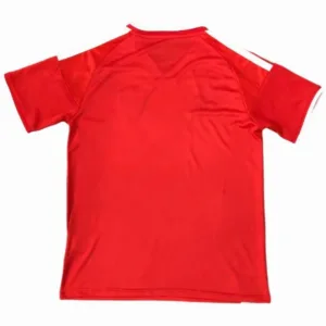 Gales Camiseta 2026 Especial Roja - Camiseta Gales Rugby | escamisetasfutbol