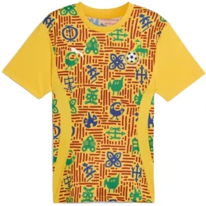 Ghana Camiseta 2025 Especial Amarilla - Camiseta Ghana 2026 | escamisetasfutbol