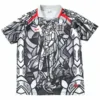 Inglaterra Camiseta 2026 Especial Gris - Camiseta Inglaterra | escamisetasfutbol