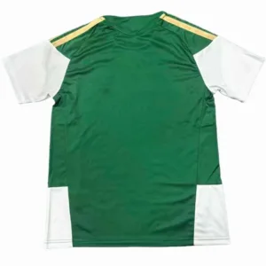Italia Camiseta 2026 Especial Verde - Camiseta Italia | escamisetasfutbol
