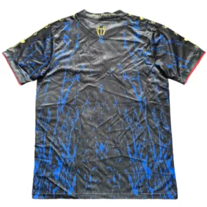 Paris Saint Germain Camiseta 2025 2026 Especial Negra - Camiseta Paris Saint Germain | escamisetasfutbol