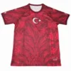 Turquía Camiseta 2026 Especial Roja - Camiseta Turquía 2026 | escamisetasfutbol