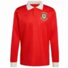 Gales Camiseta 2026 Especial Roja - Camiseta Gales Rugby | escamisetasfutbol