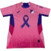 Hoffenheim Camiseta 2025 2026 Rosa - Camiseta Hoffenheim | escamisetasfutbol