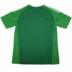 Argentina Camiseta 2026 Portero Verde - Camiseta Argentina | escamisetasfutbol