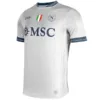 SSC Napoli Camiseta 2025 2026 Portero Gris - Camiseta Serie A SSC Napoli | escamisetasfutbol