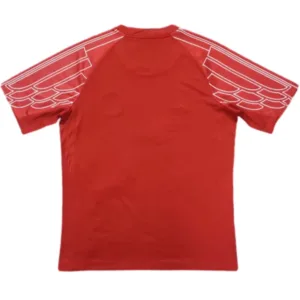 Paris Saint Germain Camiseta 2024 2025 Portero Roja - Camiseta Paris Saint Germain | escamisetasfutbol