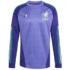 México Camiseta 2026 Portero Púrpura - Camiseta Selección México | escamisetasfutbol