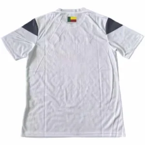 Benin Camiseta 2023 Segunda Blanca - Camiseta Benin | escamisetasfutbol