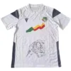 Benin Camiseta 2023 Segunda Blanca - Camiseta Benin | escamisetasfutbol
