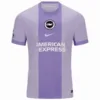 Brighton & Hove Albion Camiseta 2025 2026 Segunda Púrpura - Camiseta Brighton & Hove Albion | escamisetasfutbol