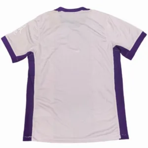 Brighton & Hove Albion Camiseta 2025 2026 Segunda Púrpura - Camiseta Brighton & Hove Albion | escamisetasfutbol