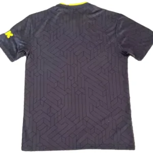Everton Camiseta 2024 2025 Segunda Gris - Camiseta Everton | escamisetasfutbol