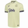 Everton Camiseta 2025 2026 Segunda Amarilla - Camiseta Everton | escamisetasfutbol