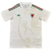Gales Camiseta 2026 Segunda Blanca - Camiseta Gales Rugby | escamisetasfutbol