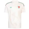 Gales Camiseta 2026 Segunda Blanca - Camiseta Gales Rugby | escamisetasfutbol