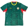 Senegal Camiseta 2026 Segunda Verde - Camiseta Senegal | escamisetasfutbol