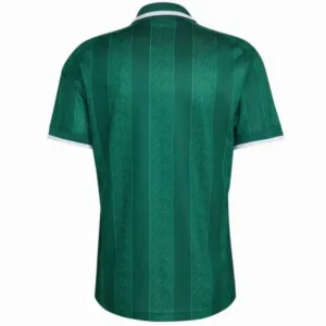 Sudafrica Camiseta 2026 Segunda Verde - Camiseta Sudafrica 2026 | escamisetasfutbol