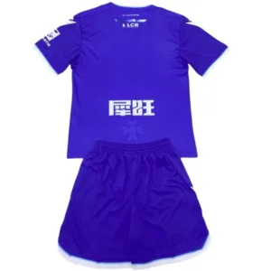 AJ Auxerre Conjunto 2024 2025 Tercera Azul - Aj Auxerre 2026 | escamisetasfutbol