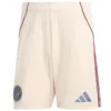 Ajax Pantalones 2025 2026 Tercera Amarillo - Maglia Ajax | escamisetasfutbol