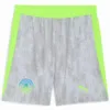 Manchester City Pantalones 2025 2026 Tercera Gris - Maglia Manchester City | escamisetasfutbol